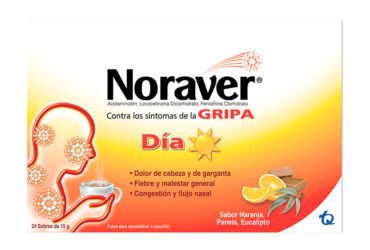 Noraver Gripa Bebida Dia 15 Gr 24 Sbs