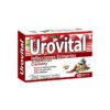 Urovital Cramberry Blister 60 Capsulas - Imagen 2