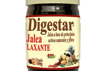 Digestar Jalea 300 Gr