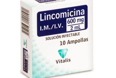 Lincomicina 600 Mg/2Ml 1 Ampolla Vt