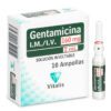 Gentamicina 160 Mg/2 Ml 10 Ampollas - Imagen 2
